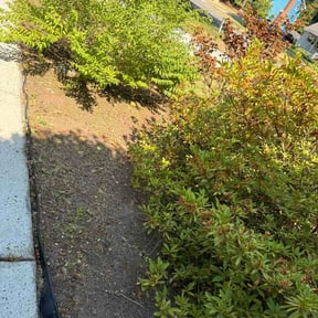 Flower Bed Weeding by Ultimate Landscape Contractor reviewed on May 24, 2026