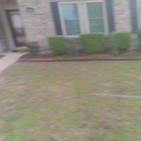 Bush Trimming by Perez landscaping reviewed on August 17, 2025