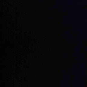 Bush Trimming by Wagner’s Lawn Service reviewed on November 25, 2025