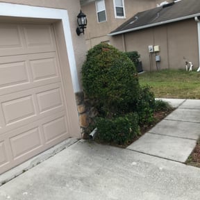 Bush Trimming by Olympus Outdoor Services reviewed on August 16, 2025