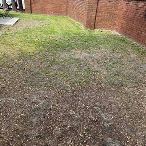 Leaf Removal by DR Lawn Care Services reviewed on June 9, 2026
