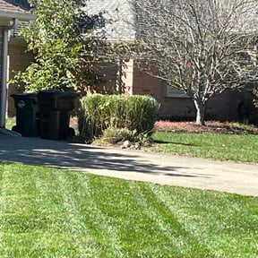 Bush Trimming by Bob Gray Lawns reviewed on November 21, 2025