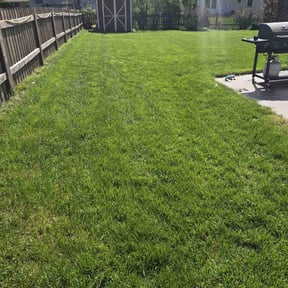 landscape maintenance by Busy Bee Co WI reviewed on August 15, 2025