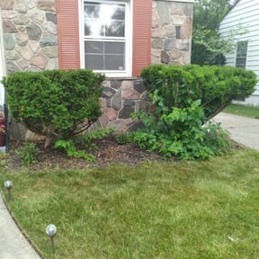Bush Trimming by Jim's Lawn Service reviewed on August 19, 2025