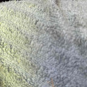 Bush Trimming by Marroquín Landscaping LLC reviewed on July 2, 2025