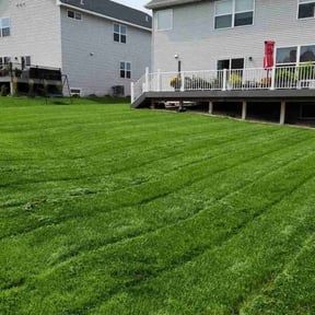 landscaping services by BnB So. Cal reviewed on August 17, 2025
