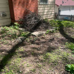 Leaf Removal by 618'S Snappin Out Lawn Care reviewed on June 10, 2026