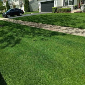yard service by S&E lawn services reviewed on August 20, 2025