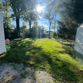 lawn care services by JACKSON Lawn Care reviewed on March 27, 2024