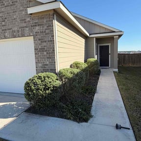 Bush Trimming by Lawnteck reviewed on October 21, 2025