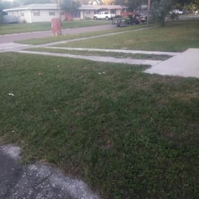 Leaf Removal by JJ Trees LLC reviewed on September 24, 2025