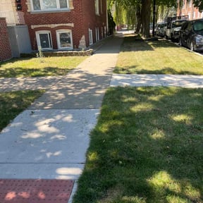 lawn service by All Schuch Up Home Projects reviewed on January 4, 2024