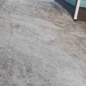 Leaf Removal by Nathan Massey reviewed on September 15, 2025