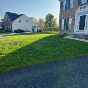 landscaping by Chase property management and improvements llc reviewed on August 17, 2025