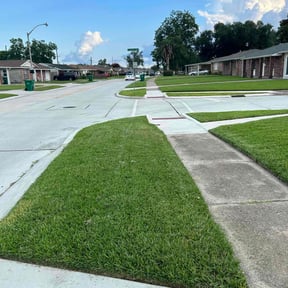 gardening service by Sidney lawn care reviewed on December 6, 2025