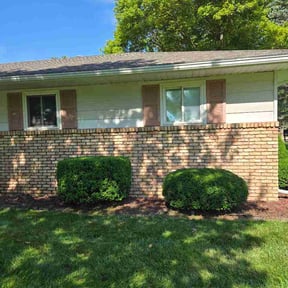Bush Trimming by T and T Property Management reviewed on July 19, 2026