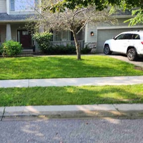 turf care by LoneStar Mow Pros reviewed on March 23, 2024