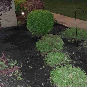 Bush Trimming by All About Grass reviewed on May 4, 2026