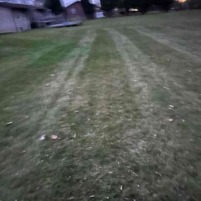 Leaf Removal by Port Lawn Services reviewed on November 22, 2025