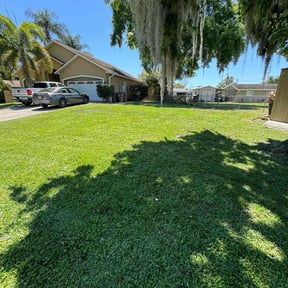 lawn care services by Adan's Hauling reviewed on January 25, 2024