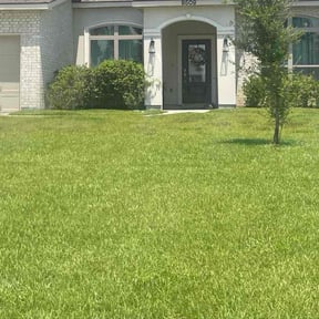 Bush Trimming by BRDOC - Lawn Care reviewed on November 23, 2025