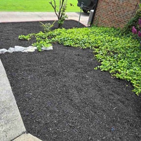 Mulching by Patten Property care LLC reviewed on June 20, 2026