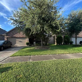 yard service by New Heights LawnCare reviewed on May 20, 2025