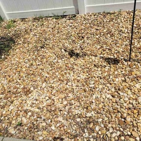 Flower Bed Weeding by Top Choice Lawn Care Plus reviewed on June 1, 2026