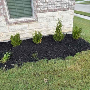 Mulching by Bancroft Lawn Maintenance reviewed on June 26, 2026