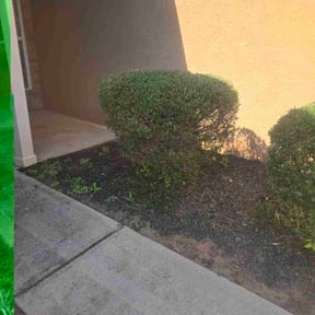 Bush Trimming by The Lawn Barber reviewed on June 9, 2025