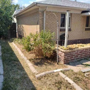 Bush Trimming by Rodgers Lawn Care reviewed on October 19, 2025