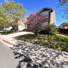 residential landscaping by Eagles Lawn Care and More reviewed on August 18, 2025