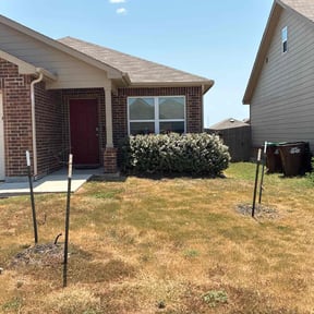 Bush Trimming by Onlyhands reviewed on October 23, 2025