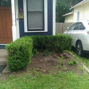 Bush Trimming by K &amp; S Lawn Care reviewed on March 19, 2024