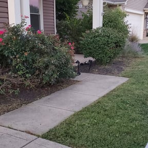 Flower Bed Weeding by Riders Lawn Care Services reviewed on August 13, 2025