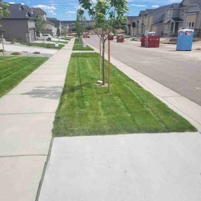 landscape maintenance by Brothers Landscaping and Construction reviewed on December 18, 2025