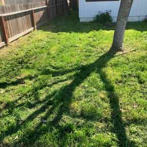 grass maintenance by ADG Lawncare Services, LLC reviewed on October 18, 2023