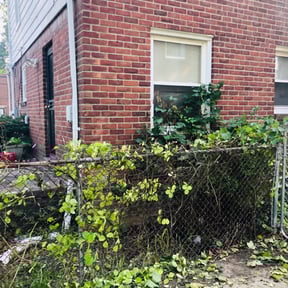 Bush Trimming by Rider Landscaping Solutions reviewed on August 21, 2025