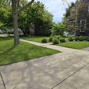 lawn care services by Lo's some like the pros reviewed on October 14, 2023