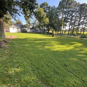 turf care by Peaks Property Maintenance reviewed on August 14, 2025