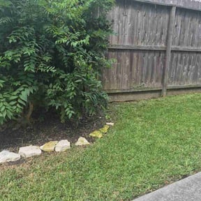 Bush Trimming by Hunter’s Lawn Care! reviewed on July 16, 2026