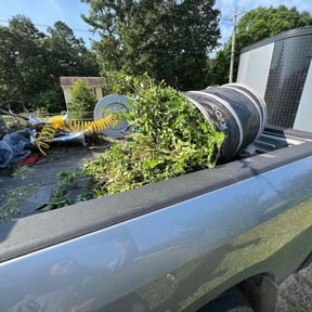 Bush Trimming by Renegade Lawn and Landscaping LLC reviewed on August 17, 2025