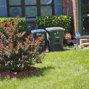 Bush Trimming by Nichols Lawn & Landscaping reviewed on August 15, 2025