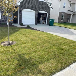 yard care by Roger W Ries reviewed on May 6, 2025