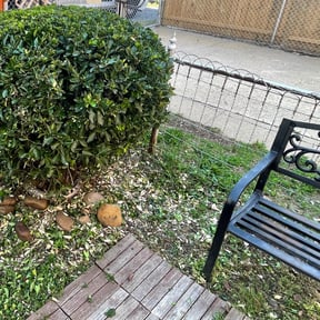 Bush Trimming by Dr. Green Lawn LLC reviewed on August 18, 2025