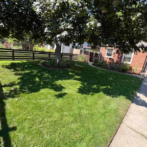 yard service by The Madrid's Of All Trades reviewed on November 24, 2025