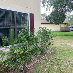 Bush Trimming by Blue Line Property Solutions LLC reviewed on August 16, 2025