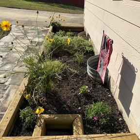 Flower Bed Weeding by Born Again Enterprises LLC reviewed on August 15, 2025