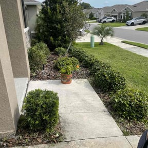 Bush Trimming by Bearnson Lawn And Maintenance reviewed on December 18, 2025