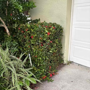 Bush Trimming by Aaron&#039;s Lawn Care reviewed on April 30, 2024